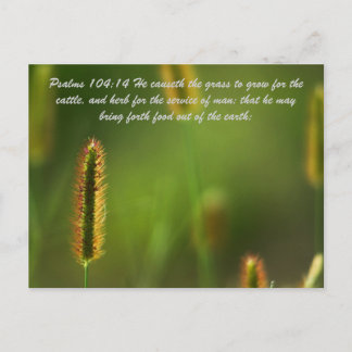 Carte Postale Psaumes 104:14 Il fait pousser l'herbe pour le