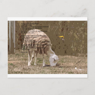 Carte Postale Psaumes 23