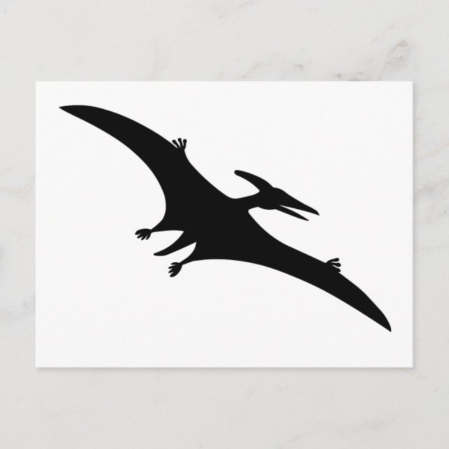 Carte Postale Ptéodactyle Dinosaure (Devant)