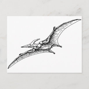 Carte Postale Pterodactyl