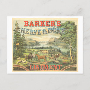 Carte Postale Publicité ancienne pour un médicament breveté pour