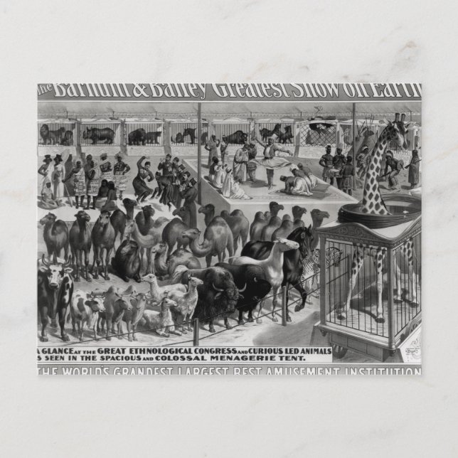 Carte Postale Publicité d'affiche, 'Le Barnum et Bailey (Devant)