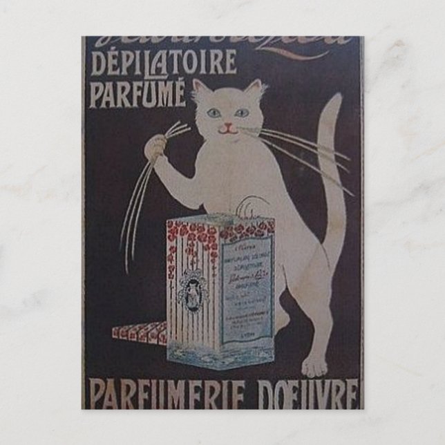 Carte Postale Publicité vintage française - chats (Devant)