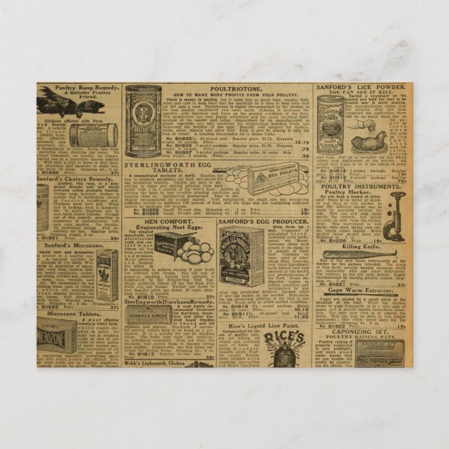 Carte Postale Publicité vintage Journaux Producteurs de poulet (Devant)