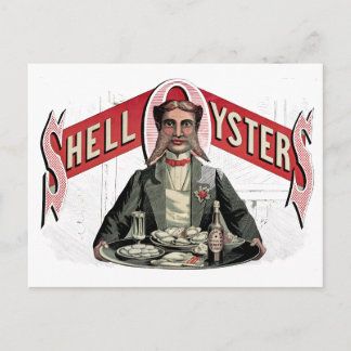 Carte Postale Publicité Vintage Shell Oysters