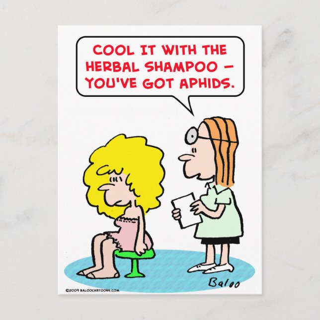 Carte Postale pucerons de shampooing aux herbes (Devant)