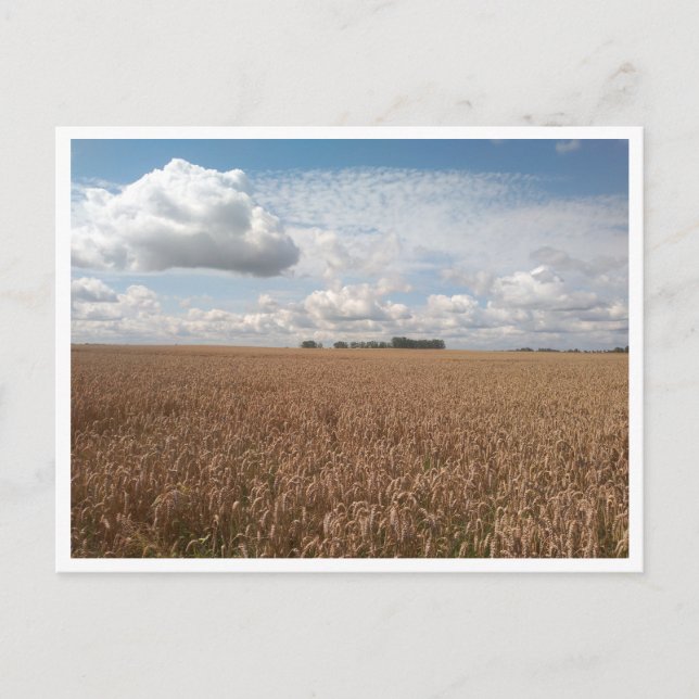 Carte Postale Puck (Pologne) (Devant)