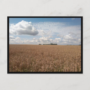 Carte Postale Puck (Pologne)