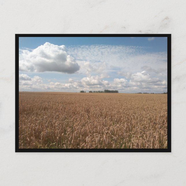 Carte Postale Puck (Pologne) (Devant)