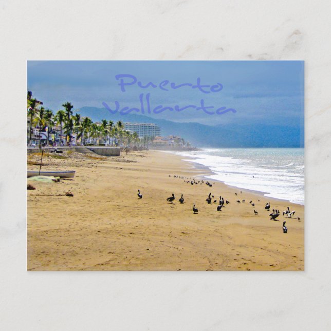 Carte postale Puerto Vallarta 2 (Devant)