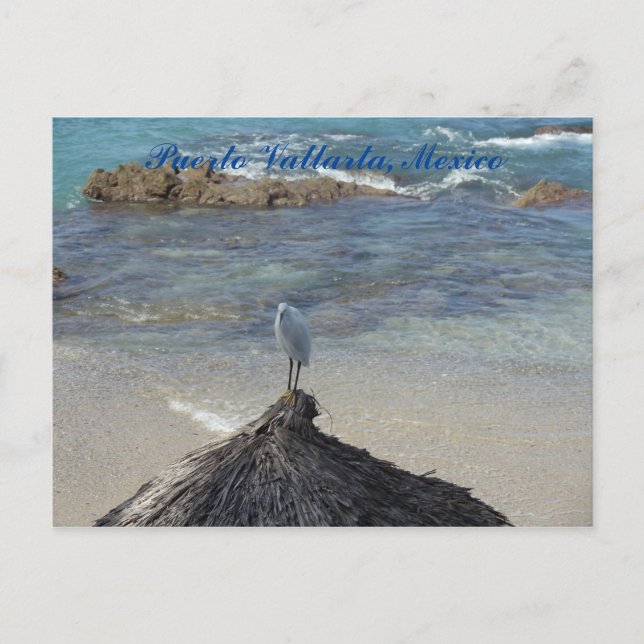 Carte Postale Puerto Vallarta, Mexique. Garza Blanca (Devant)