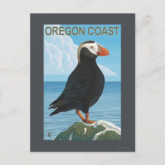 Carte Postale Puffin touffé de la côte de l'Oregon (Devant)