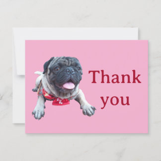 Carte Postale pug