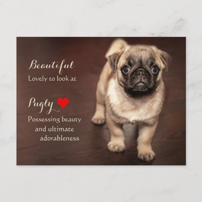 Carte Postale Pug puppy (Devant)