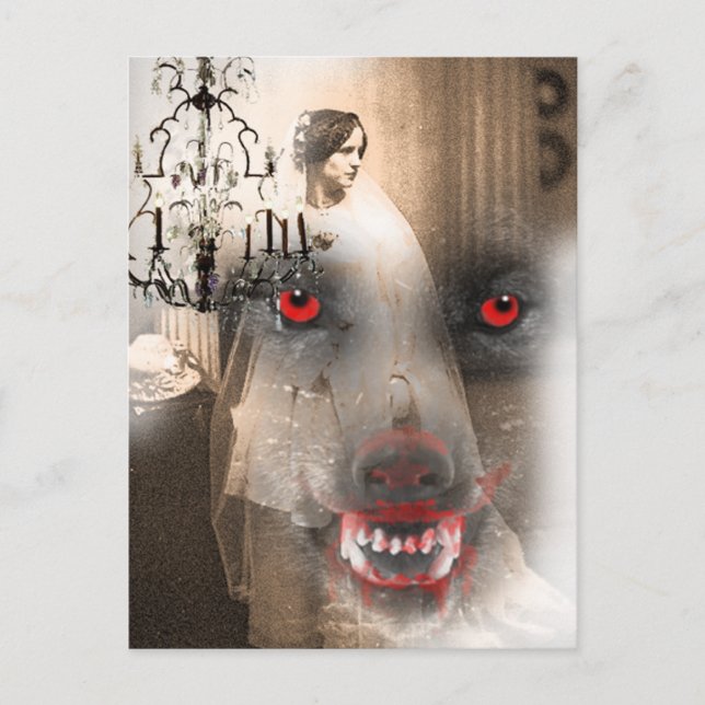 Carte Postale Puis il a vu la lune (Devant)