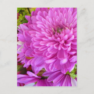 Carte Postale Puissance de la fleur rose