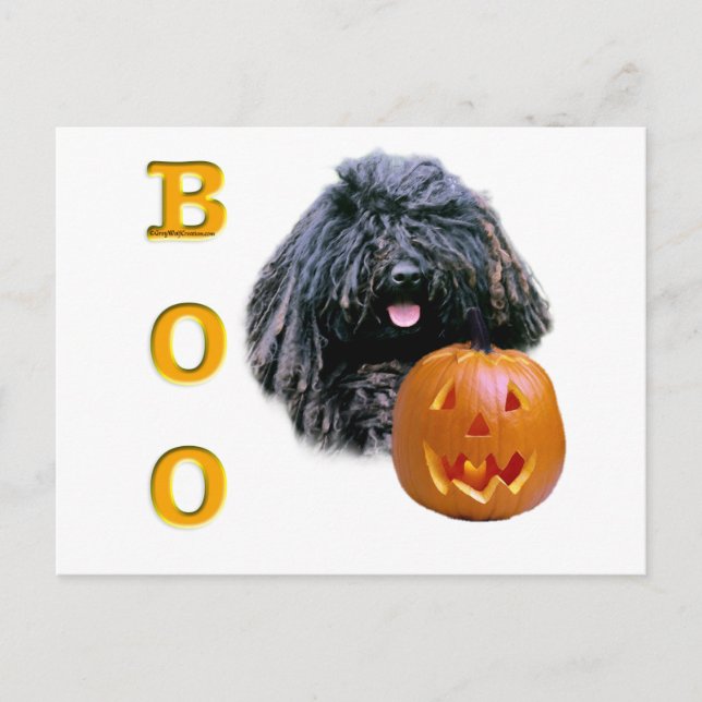 Carte Postale Puli Boo (Devant)