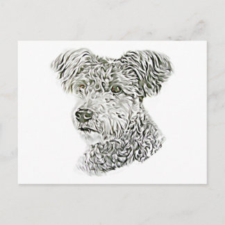 Carte Postale Pumi