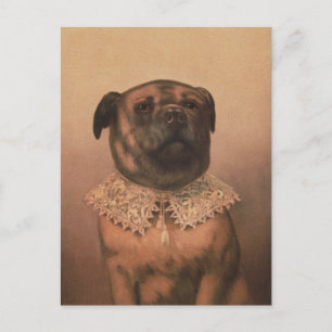 Carte postale Pup vintage