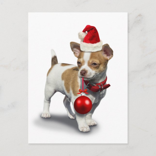 Carte Postale Puppy with christmas a et balle (Devant)