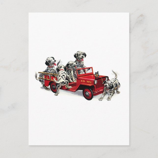 Carte Postale Pups dalmate avec camion-feu (Devant)