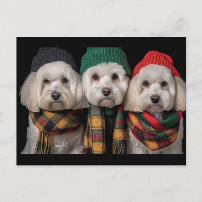 Carte Postale Pups de vacances (Devant)