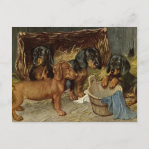 Carte postale Pups vintage