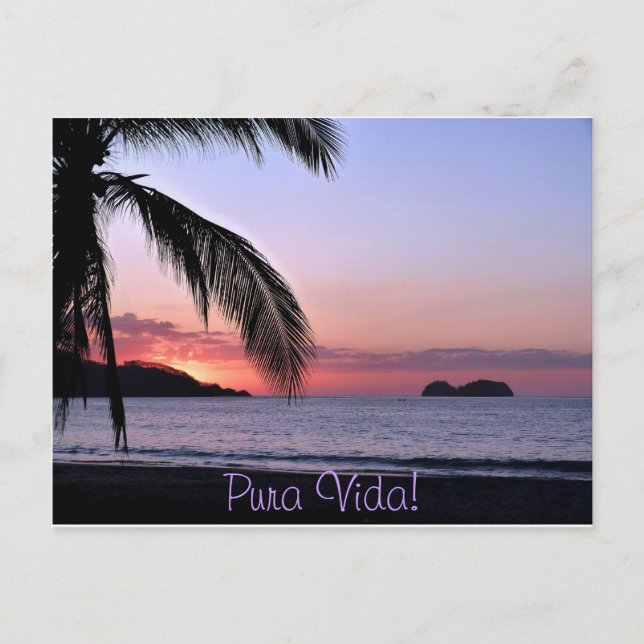 Carte Postale Pura Vida ! (Devant)