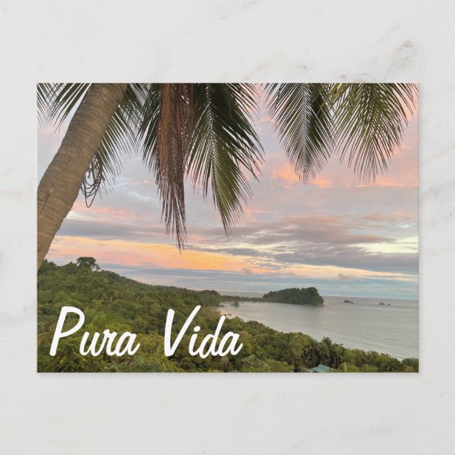 Carte Postale Pura Vida (Devant)