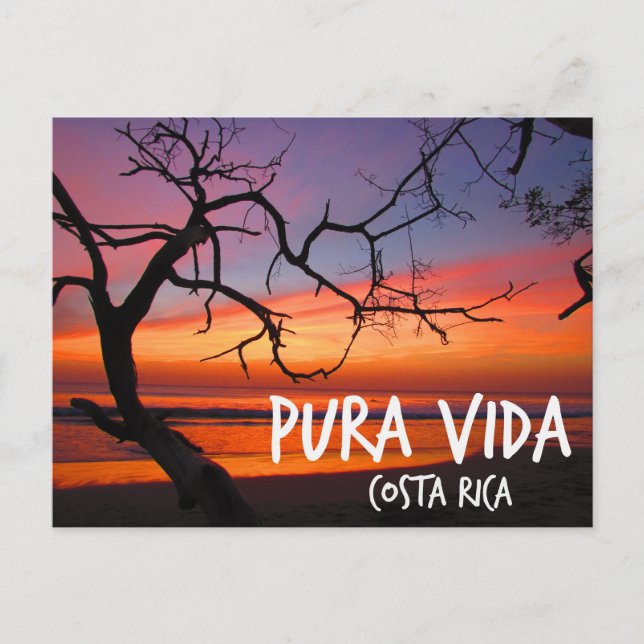 Carte Postale Pura Vida Costa Rica Beach Sunset (Devant)
