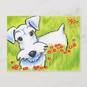 Carte Postale Pure Schnauzer