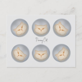 Carte Postale Purge de chats