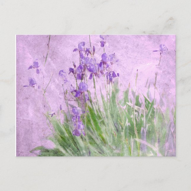 Carte Postale Purple (Devant)