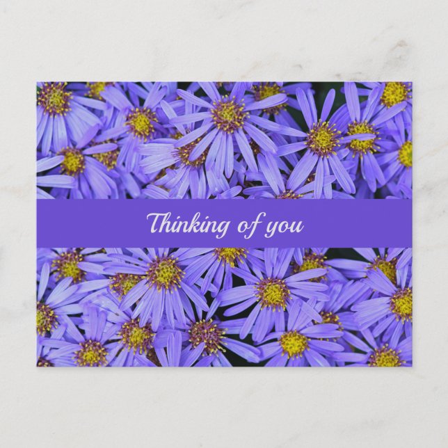 Carte Postale Purple Aster Flowers at RHS Garden Wisley Thinking (Devant)