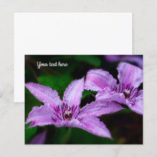 Carte postale Purple Clematis