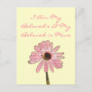 Carte Postale purpleconefloweraimé3