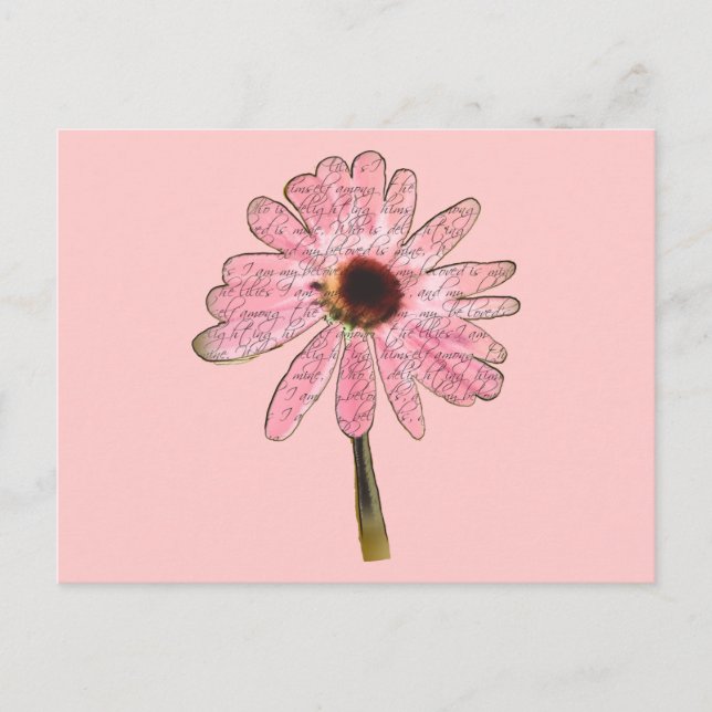 Carte Postale purpleconefloweraimé3 (Devant)