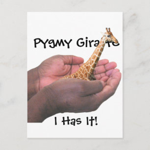 Carte Postale Pygmy Giraffe