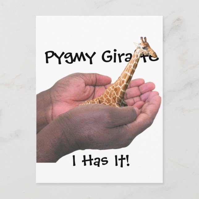 Carte Postale Pygmy Giraffe (Devant)