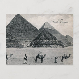 Carte Postale Pyramides et chameaux, Le Caire Egypte Vintage