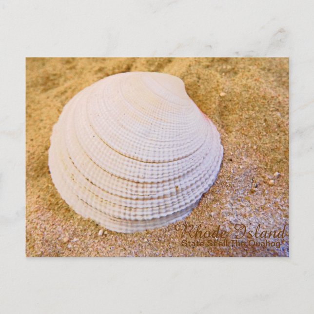 Carte postale quahog de l'état de Rhode Island (Devant)