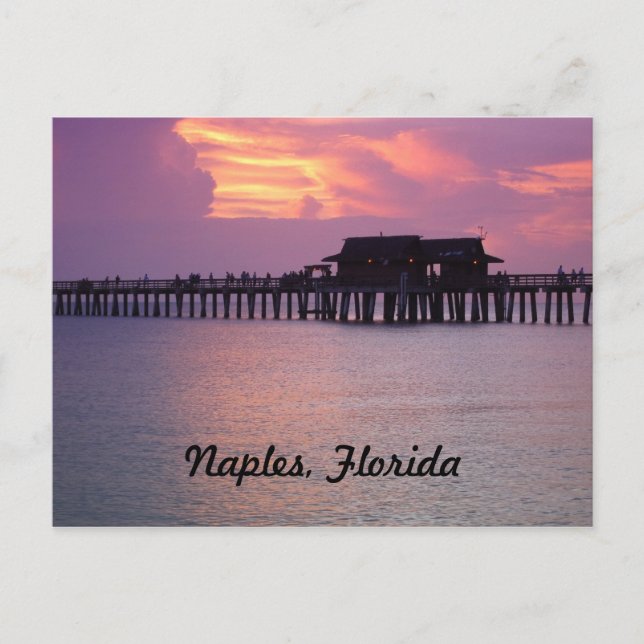 Carte Postale quai à Naples, Floride au coucher du soleil (Devant)