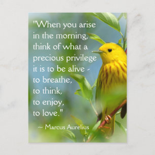 Carte Postale Quand Vous Aristez Marcus Aurelius Inspiration Cit