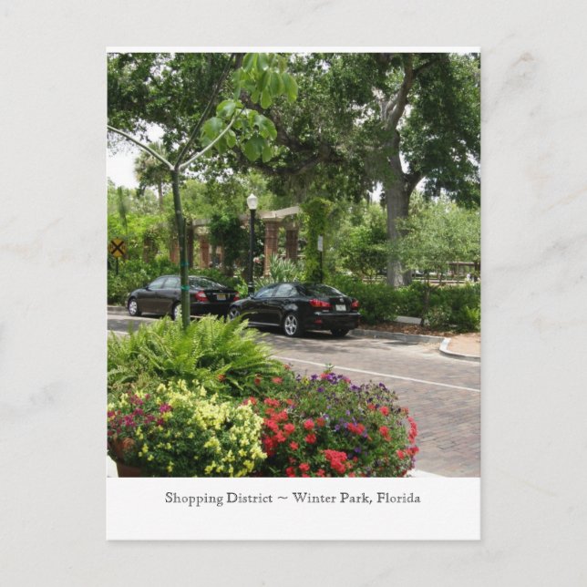 Carte Postale Quartier commerçant ~ Parc d'hiver, Floride (Devant)