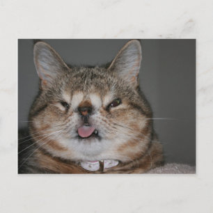 Carte postale Quasi