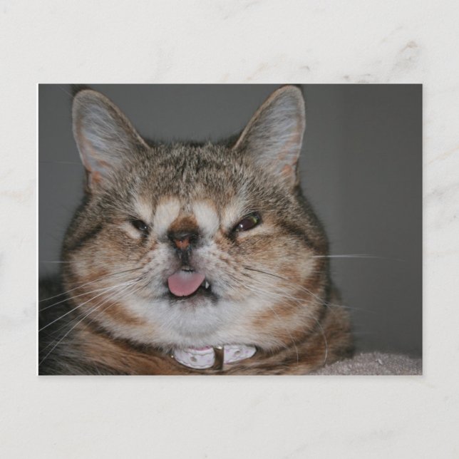 Carte postale Quasi (Devant)