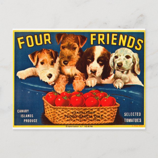Carte Postale Quatre amis Chiens Étiquettes Vintages de tomates (Devant)