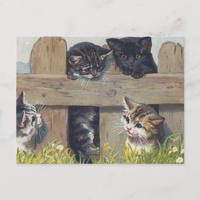Carte Postale Quatre Chatons Jouant Illustration Vintage (Devant)