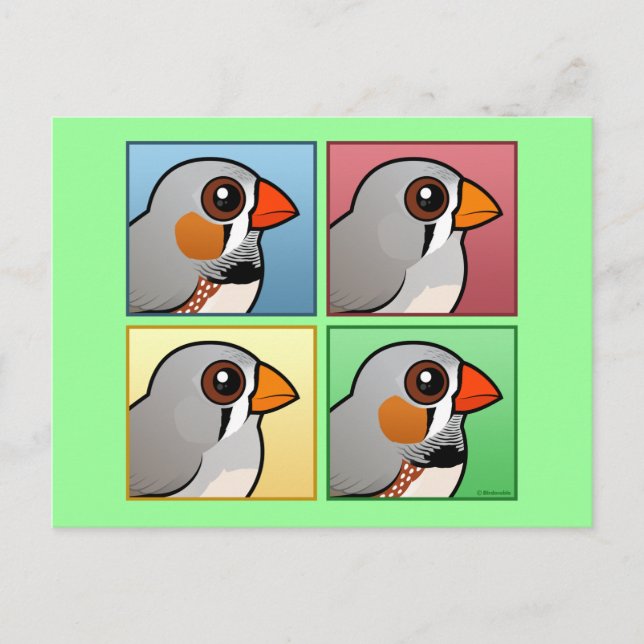 Carte Postale Quatre couleurs Zebra Finch (Devant)