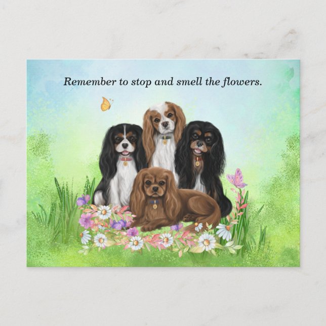 Carte Postale Quatre Espagnols Cavalier Roi Charles en Fleurs (Devant)